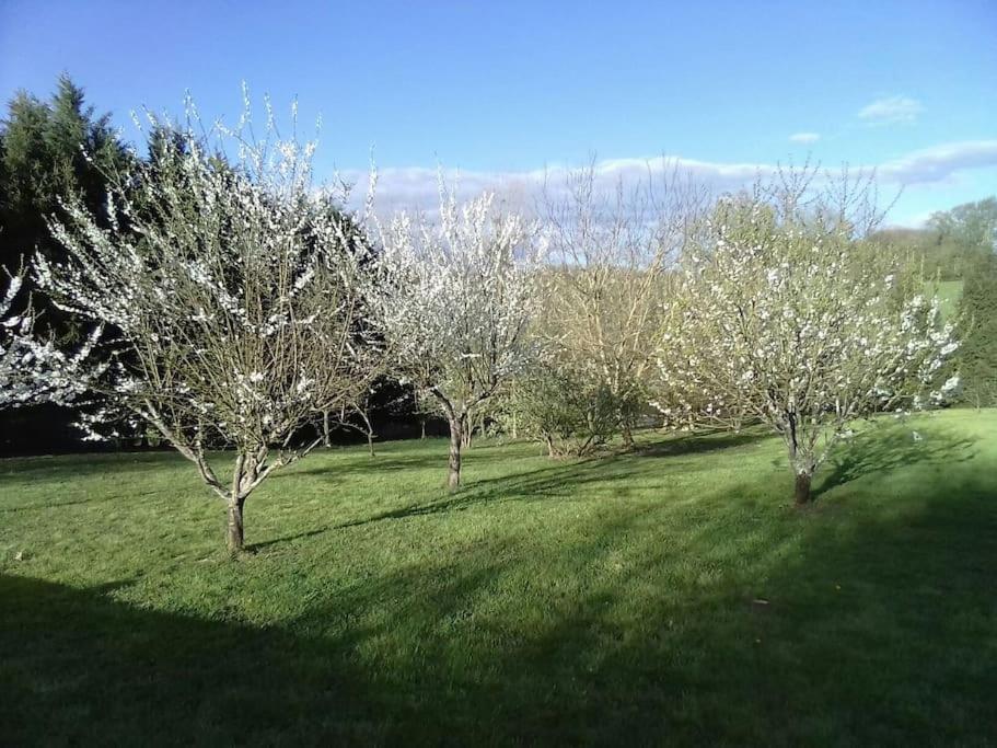 Dependance Pour 1 A 4 Pers Au Calme Dans Propriete Villa Marboz Exterior foto